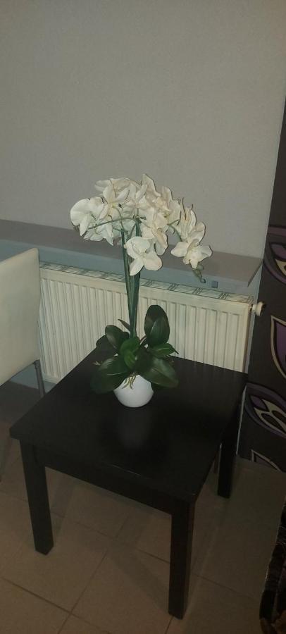 Pauza Motel Tarnowo Podgorne Luaran gambar